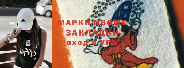 PSILOCYBIN Заводоуковск