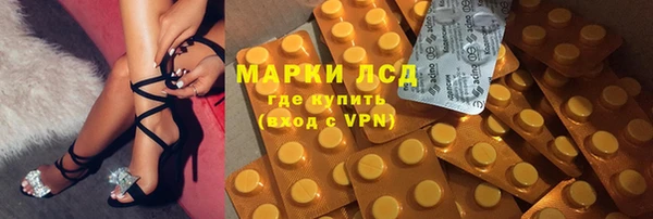 PSILOCYBIN Заводоуковск