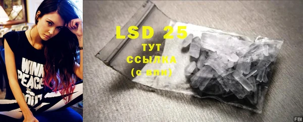 PSILOCYBIN Заводоуковск