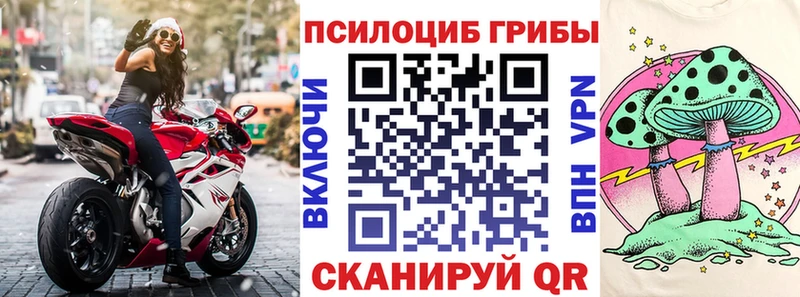Купить закладки  Первомайск  Псилоцибиновые грибы GOLDEN TEACHER 